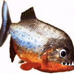 poisson1