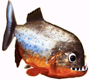 poisson1